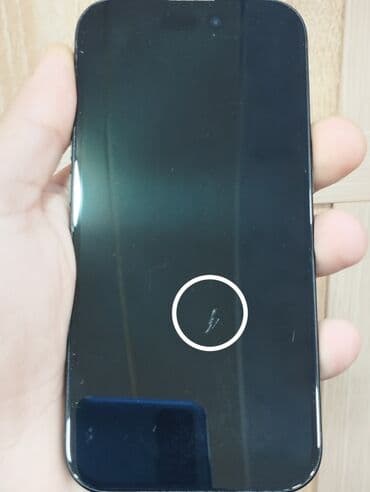 IPhone 15, Qara, Face ID