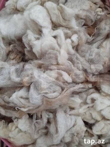 yun destler: Təbii qoyun yunu - Rəng: ağ–krem tonlarında, yüngül qarışıq çalarlı - — 1