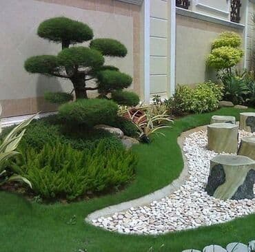 lipa ağacı: Dekarativ agaclarin satisi qazon torpaq torf diger gubrelerin satisi — 12