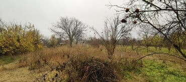 купить новостройку в баку: 30 соток, Для сельского хозяйства, Собственник, Купчая — 4