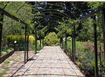 demir alanlar bakida: Talvar .kölgəlik — 11