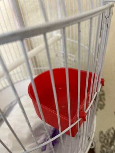 Heyvanlar üçün mallar: Ağ rəngli asılqanlı quş qəfəsi - Dairəvi, günbəz formalı metal — 5