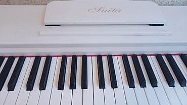 kamança satışı: Piano Suita Ağ Rəqəmsal işlənmiş görünüşünə baxmayaraq, pianino tam — 3