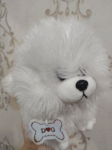 работа в сша для азербайджанцев: Yeni — 1