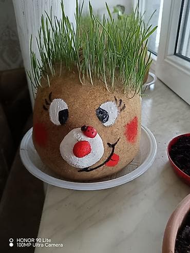 güldan: Fiqur, rəng - Qəhvəyi — 3