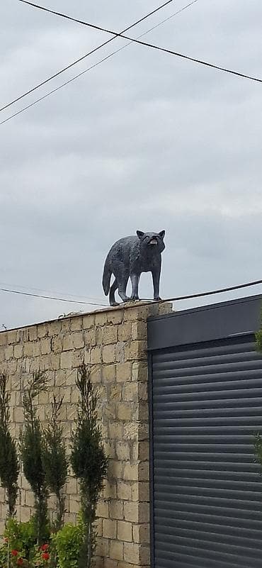 amerika azerbaycan saat ferqi: Fiqur — 6