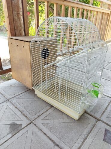 pişik yuvası: Qəfəs və yuvalıq dəsti. istifadə olunub - Ağ metal barmaqlıqlı, üstü — 3