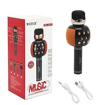 Kateqoriya: Mikrofonlar WSTER WS-2911 Simsiz Karaoke Mikrofon Brend