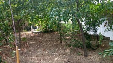 ehmedlide kiraye evler 2 otaqli 2022: 2 otaqlı, Yeni tikili, m. Həzi Aslanov, 71 kv. m — 16