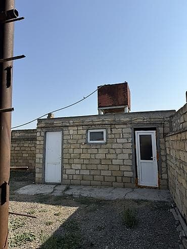 suraxanıda torpaq satılır: Kənd təsərrüfatı — 5