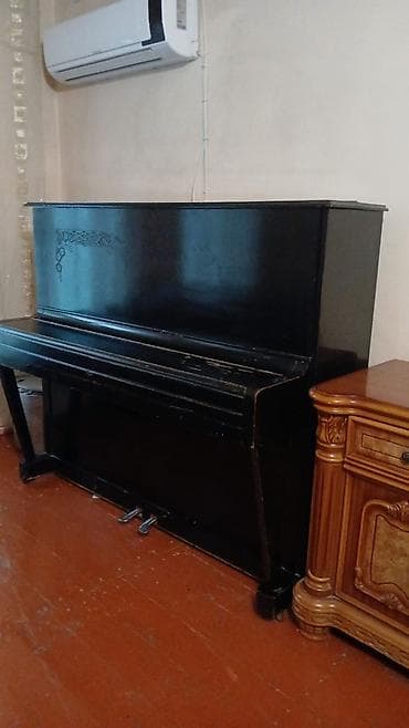 Piano, Belarus, Akustik