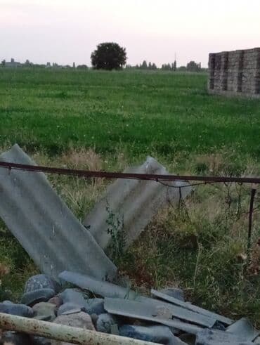 qaracuxurda kiraye evler 2020: 8 sot, Tikinti, Mülkiyyətçi, Kupça (Çıxarış) — 5