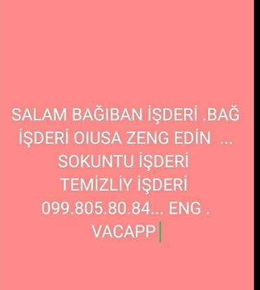 tikinti şirkəti: Bağ və həyət xidmətləri - Bağ işləri: ağac və kolların budanması — 1