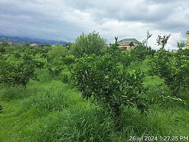 kiraye ev mingecevir: Bakı, 60 kv. m, 10 otaq, Hovuzsuz, İşıq, Su, Artezian quyusu — 10