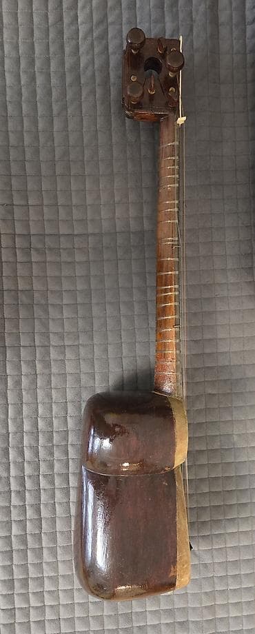 tut agaci: Tar (Azərbaycan tarı) - Korpus: Armud formalı, iki bölməli rezonator; — 2