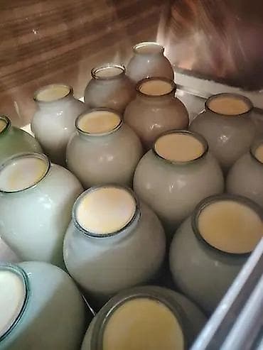 Süd: Qatlq 3 kl 3.5 
Qatıq 0.700qr 1.2 — 2