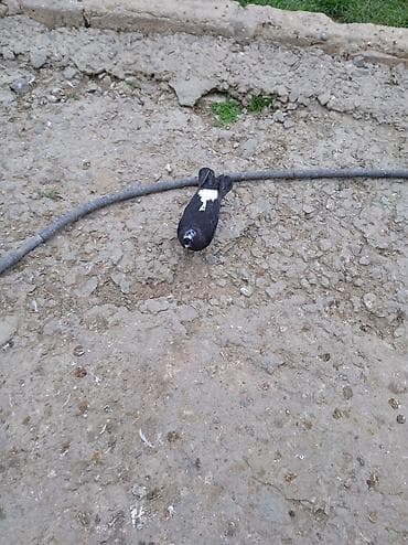 Птицы: Kövən balalardı əsl üçurtmaqüçün biri 5 manatdır — 3