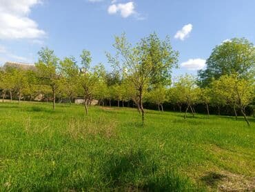 razinde torpaq: 45 sot, Biznes üçün, Mülkiyyətçi, Kupça (Çıxarış) — 3