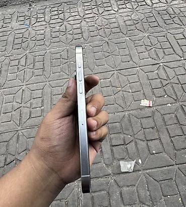 18 pro max: IPhone 15 Pro Max, 256 GB, Gümüşü, Face ID — 4