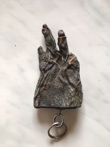 firyus berde: Brilok təbii Krokodil əli satılır 50 azn — 1