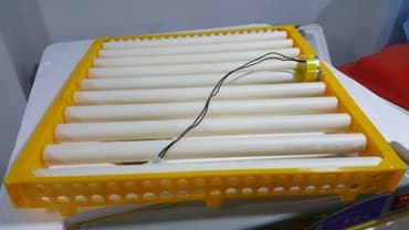 inkubator latok: İnkubator üçün Motorlu latoklar, əasən qaz və dəvəquşu üçün nəzərdə — 2