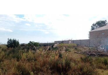 5 sot, Tikinti, Bələdiyyə