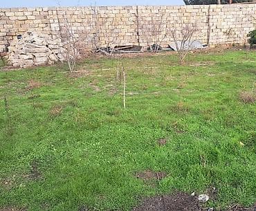 20 sot, Tikinti, Makler, Kupça (Çıxarış) lalafo.az -da 20 sot, Tikinti, Makler, Kupça (Çıxarış)