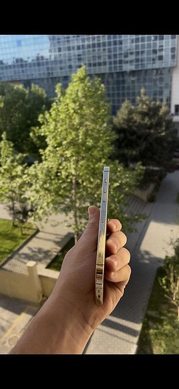 iphone 16 pro max ikinci el: IPhone 12 Pro Max, Qızılı — 3