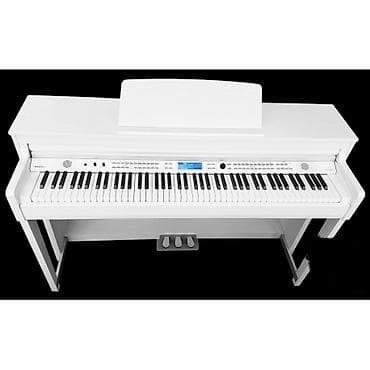 qəpik pullar: Pianino reqemsal. Royal musiqi aletleri magazalar shebekesi sizlere — 1