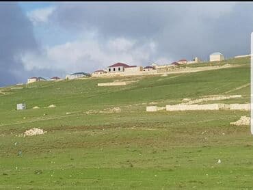 bine atcılıq: 36 sot — 2