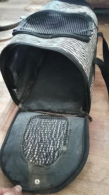 it ucun evlər: Heyvan daşıma çantası – zolaqlı (zebra naxışlı) dizayn - Kiçik it və — 3