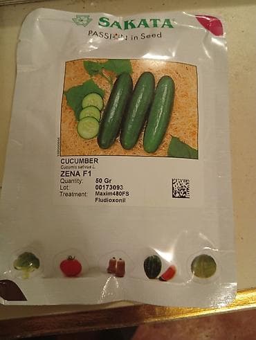 arpa toxumu: Sakata markalı xiyar toxumu – ZENA F1 hibridi - Bitki: Cucumis — 1