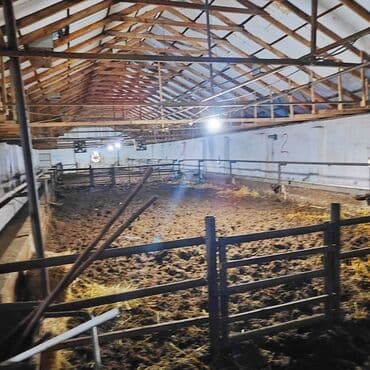 vasitəcisiz birbaşa sahibindən mənzil kirayələmək: Kənd təsərrüfatı, Mülkiyyətçi, Bələdiyyə, Kupça (Çıxarış) — 22