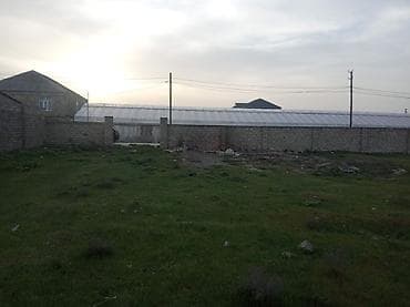 1 hektar nece km dir: 20 sot, Kənd təsərrüfatı, Makler, Kupça (Çıxarış) — 5