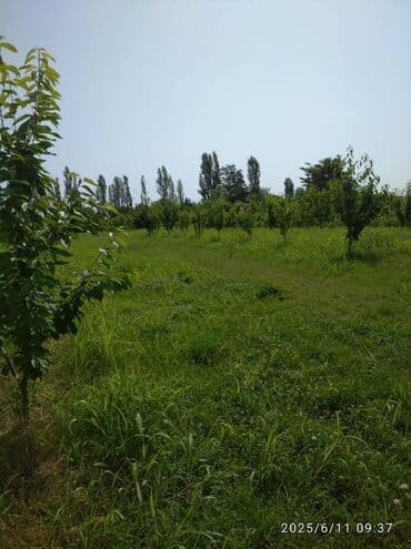 30 mine evler: 240 sot — 1