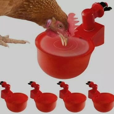 pişik su qabı: Yem qabı, Su üçün, Quşlar üçün, Rayonlara çatdırılma, Ünvandan götürmə, Ödənişli çatdırılma — 3