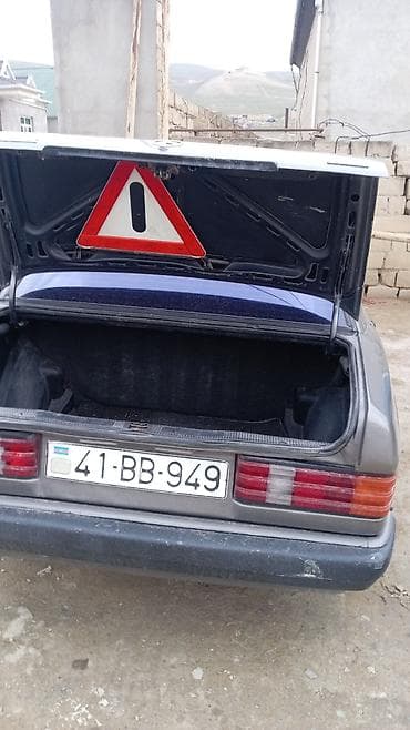 Panellər, şitlər: Mercedes-Benz 190, 1991 il, İşlənmiş — 5