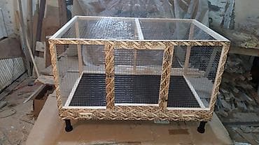 ev pişiyleri: Teze yixilma böyük ölçülərdə qəfəsler.alti padnosun.uzunluq — 1