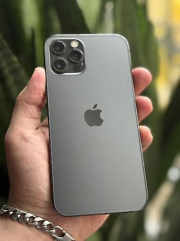 IPhone 12 Pro, Graphite