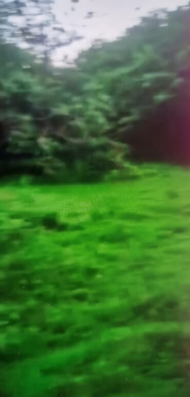 дачные земельные участки: Тертер, 50 м², 2 комнаты, Без бассейна, Газ, Электричество, Артезианский колодец — 1