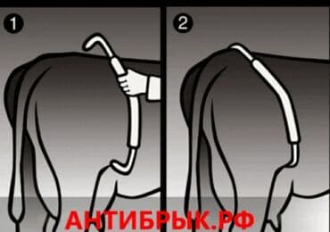 pisik ucun bit dermani: Tekmesavar Antibrik Heyvan tekmesine qarsi Sağım zamanl İribuynuzlu — 6