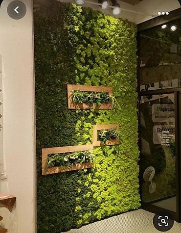 su ceni gence: Ev ofis restoran ve s yerlerin suni gul dekor iwleri 1 kv - 130 azn — 6