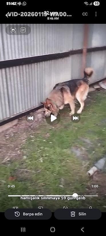 1 ay, Erkek, Peyvəndli, Ünvandan götürmə