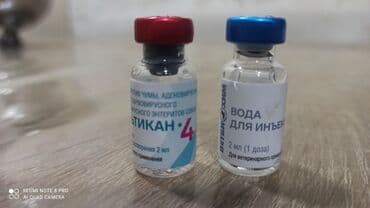 itler pitpul: Belçika çoban iti, 2 ay, Peyvəndli, Ünvandan götürmə — 5