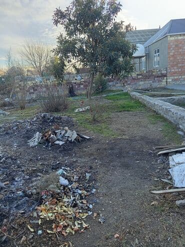 Alfa Romeo: Tikinti — 2