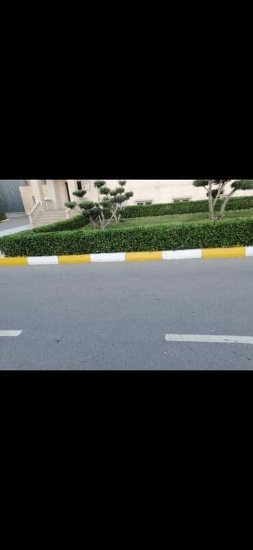 работа уборщицы на неполный рабочий день: Salam aleykum Adim Sahib 44yaşim var Bakıda yaşayiram Baki etrafi — 12