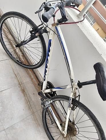 optimal velosiped: Salcano şəhər/trek velosipedi - Brend/model: Salcano (çərçivədə “City — 4