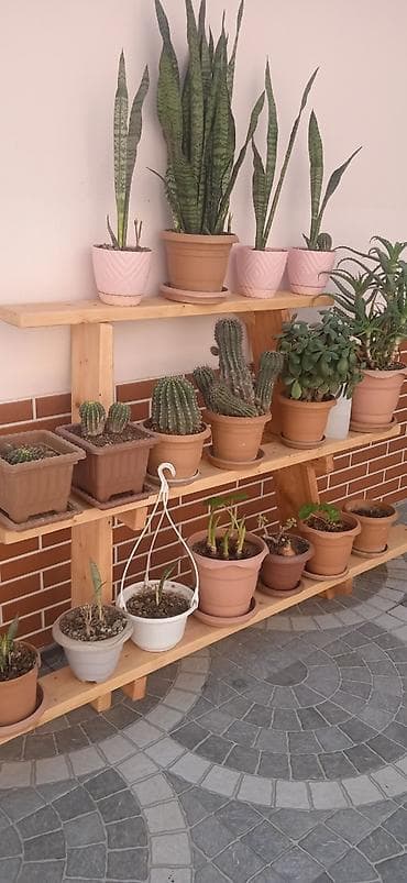 hamam vanaları: 5 otaqlı heyet evi 2.60m üsdündə tam remontlu kupçalı 30m avtobusa — 9