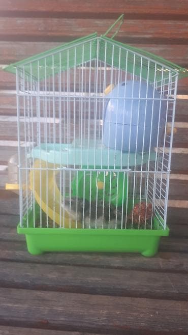 hind qusu daqestan sortu: 077-344-00-71 Hamster üçün tam dəst qəfəs - Rənglər: yaşıl altlıq və — 2
