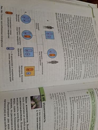 7 ci sinif riyaziyyat dersliyi pdf yukle: Общая биология,10-11 классы — 5